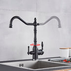 Rubinetto da cucina Hamilton Classic con filtrazione e rotazione a 360 gradi