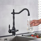 Rubinetto da cucina Hamilton Classic con filtrazione e rotazione a 360 gradi