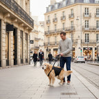 Imbracatura Ergonomica Sollevamento per Cani Grandi, Aiuta a Salire le Scale e Durante le Passeggiate