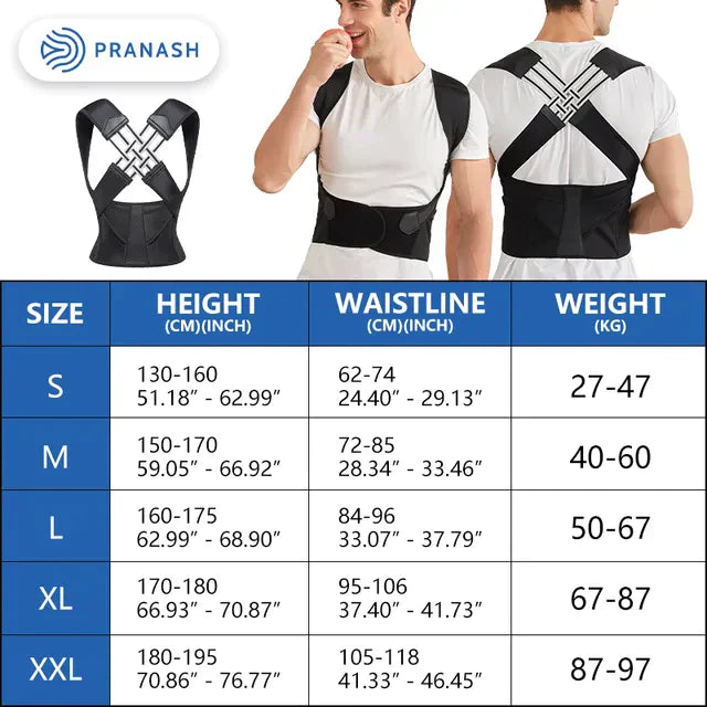 Ceinture de posture réglable AlignFit | Petprovac