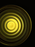 Lunara Sconce Collection | Petprovac