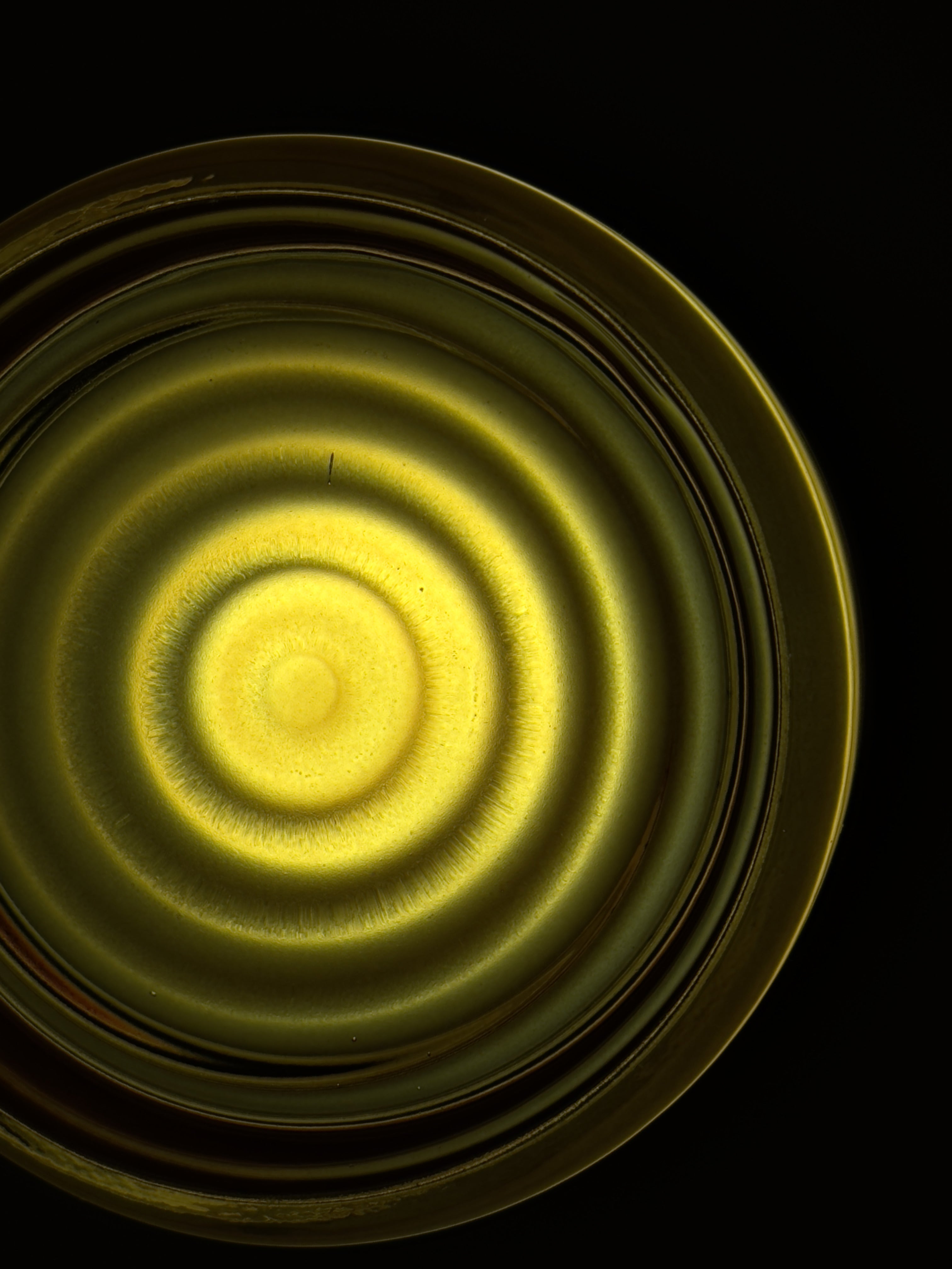 Lunara Sconce Collection | Petprovac