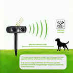 Solar Motion-Activated Dog Deterrent for Yards, Driveways & Outdoor Spaces