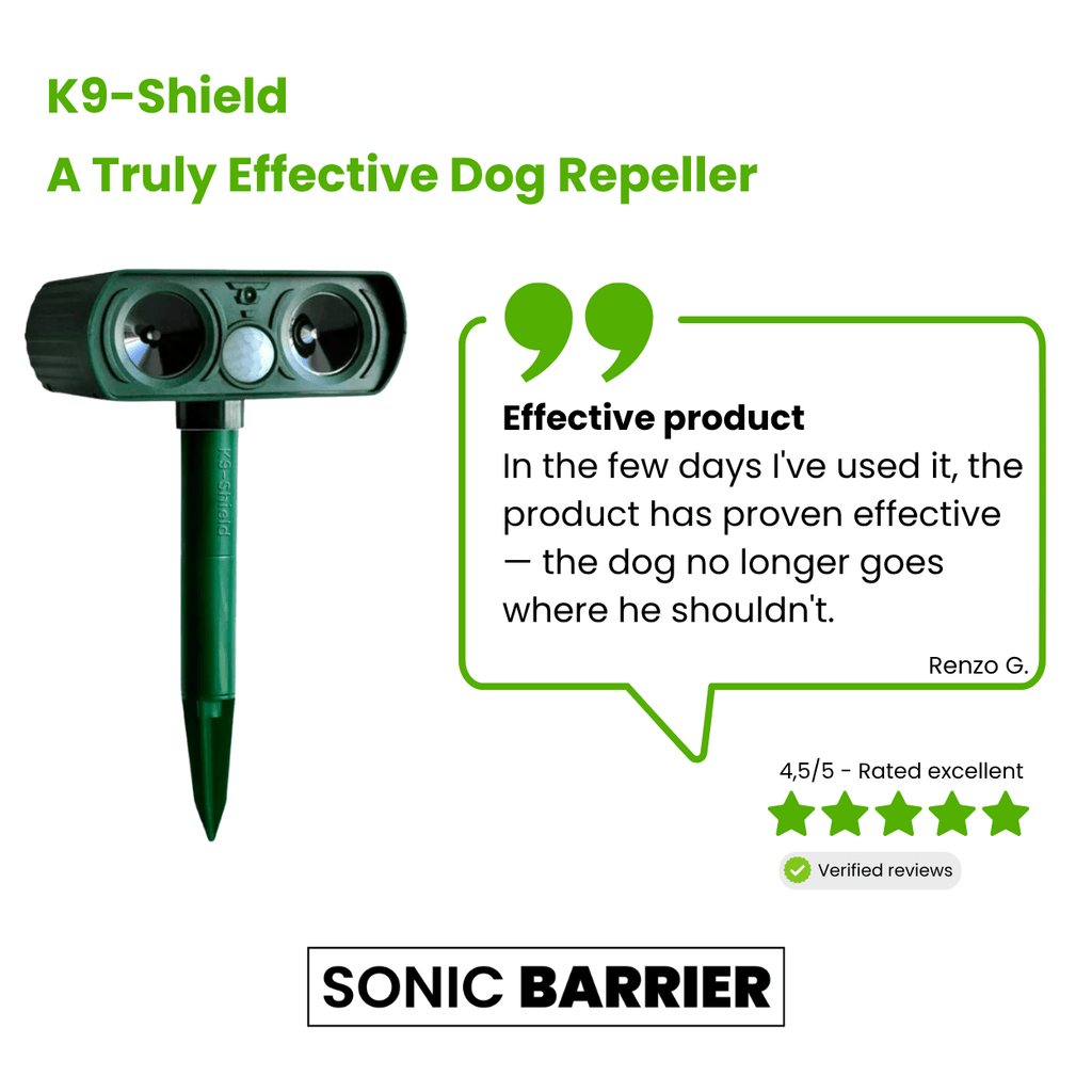 Solar Motion-Activated Dog Deterrent for Yards, Driveways & Outdoor Spaces