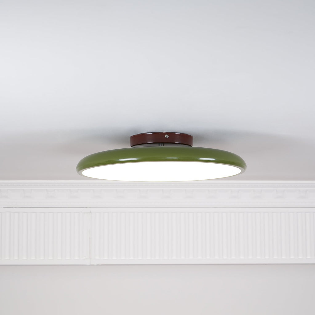 NylaGlow Colorful Adjustable Overhead Light For Bedroom