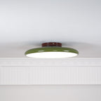 NylaGlow Colorful Adjustable Overhead Light For Bedroom