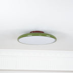NylaGlow Colorful Adjustable Overhead Light For Bedroom