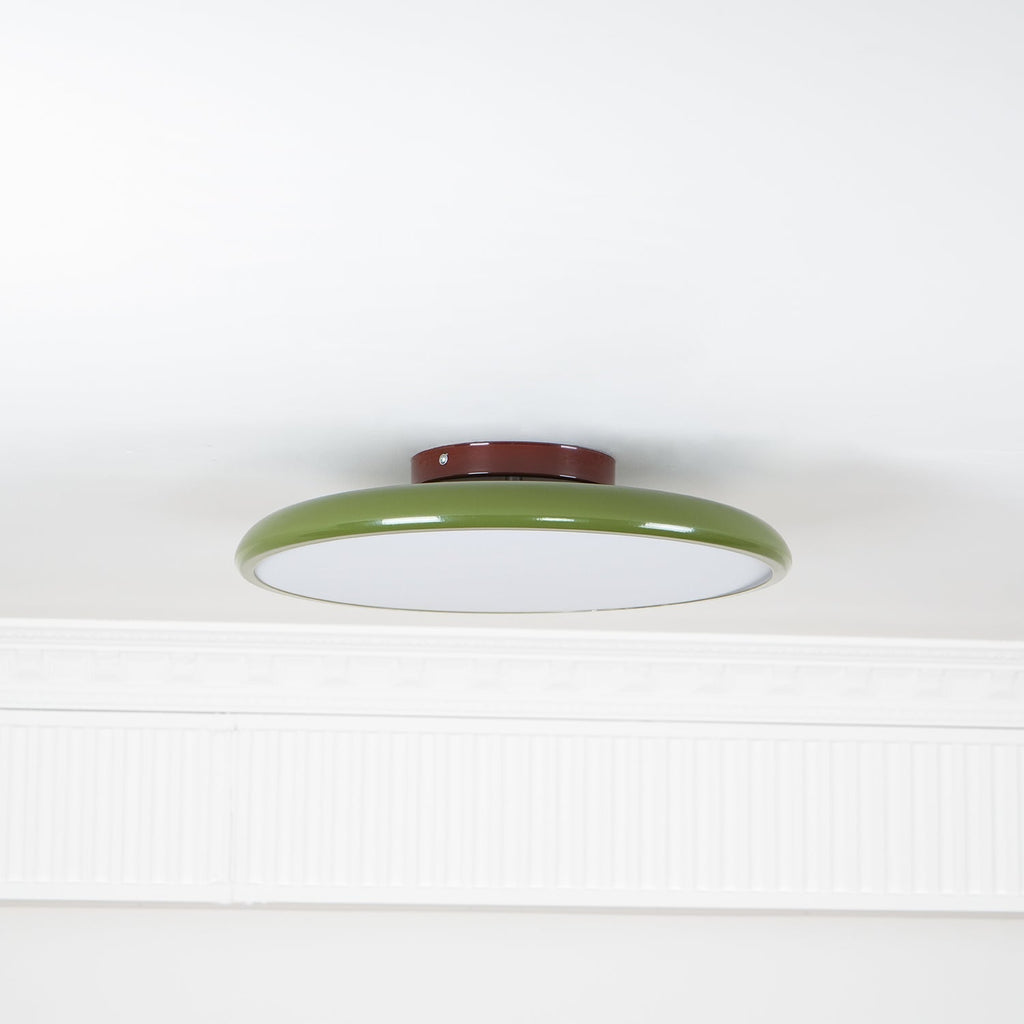 NylaGlow Colorful Adjustable Overhead Light For Bedroom