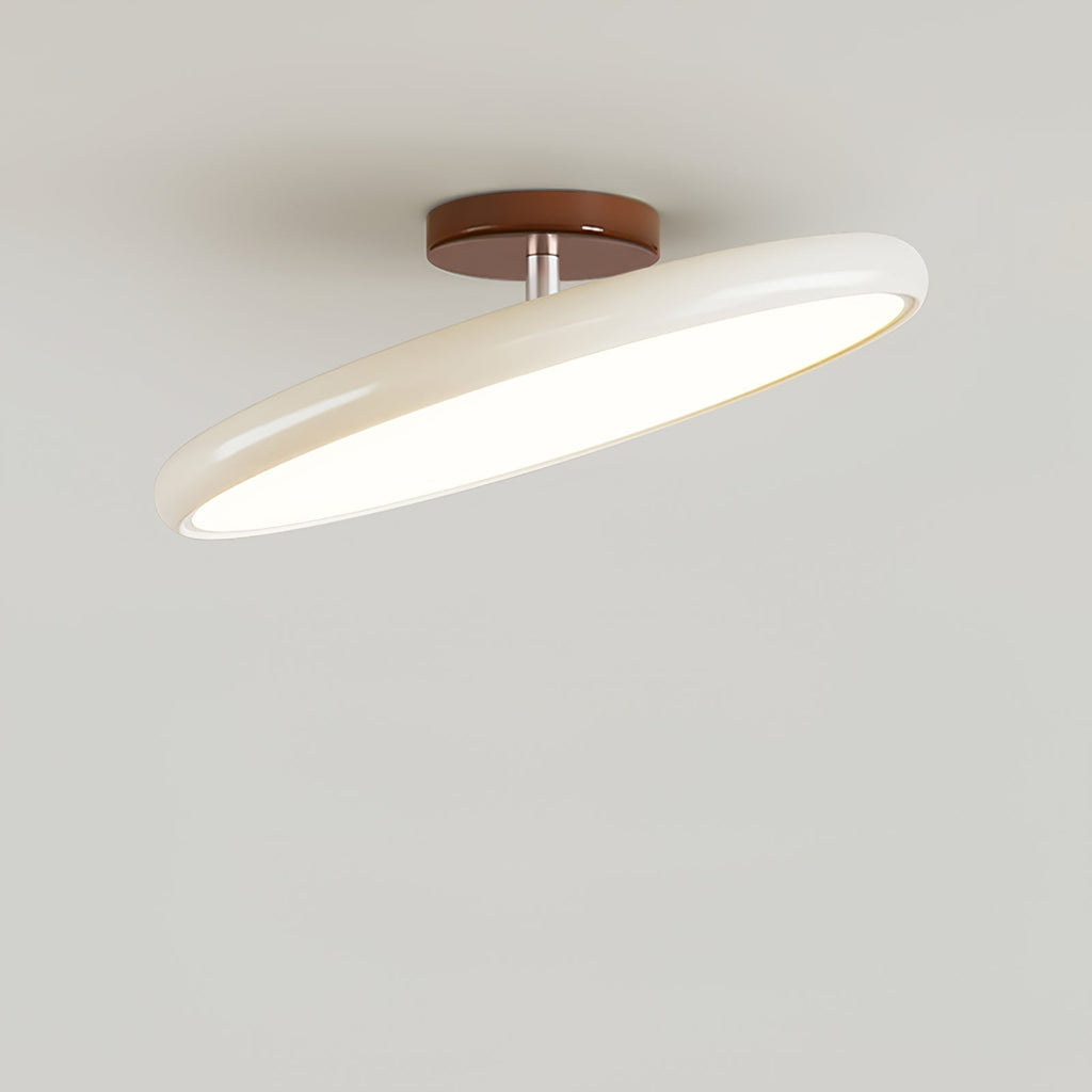 NylaGlow Colorful Adjustable Overhead Light For Bedroom