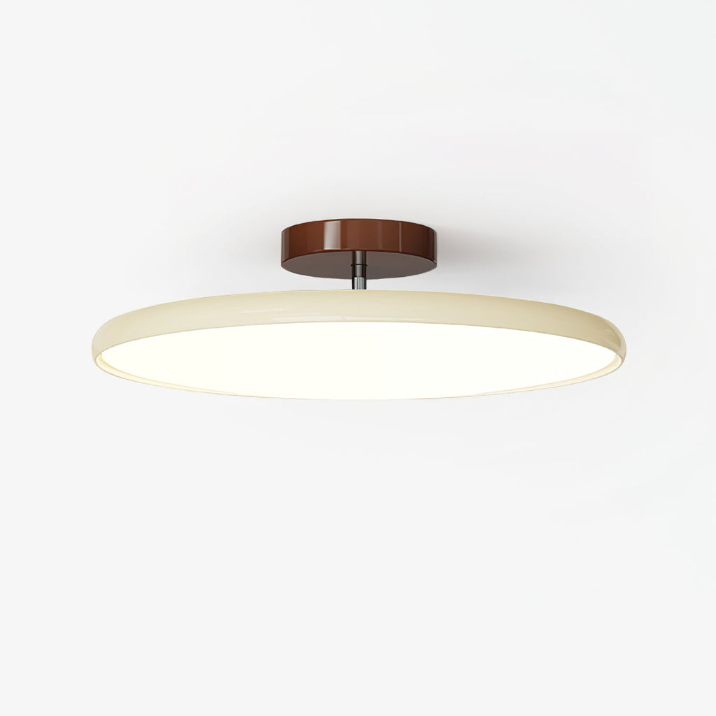 NylaGlow Colorful Adjustable Overhead Light For Bedroom