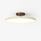 NylaGlow Colorful Adjustable Overhead Light For Bedroom
