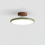 NylaGlow Colorful Adjustable Overhead Light For Bedroom