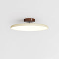 NylaGlow Colorful Adjustable Overhead Light For Bedroom