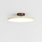 NylaGlow Colorful Adjustable Overhead Light For Bedroom