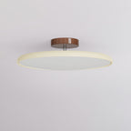 NylaGlow Colorful Adjustable Overhead Light For Bedroom