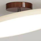 NylaGlow Colorful Adjustable Overhead Light For Bedroom