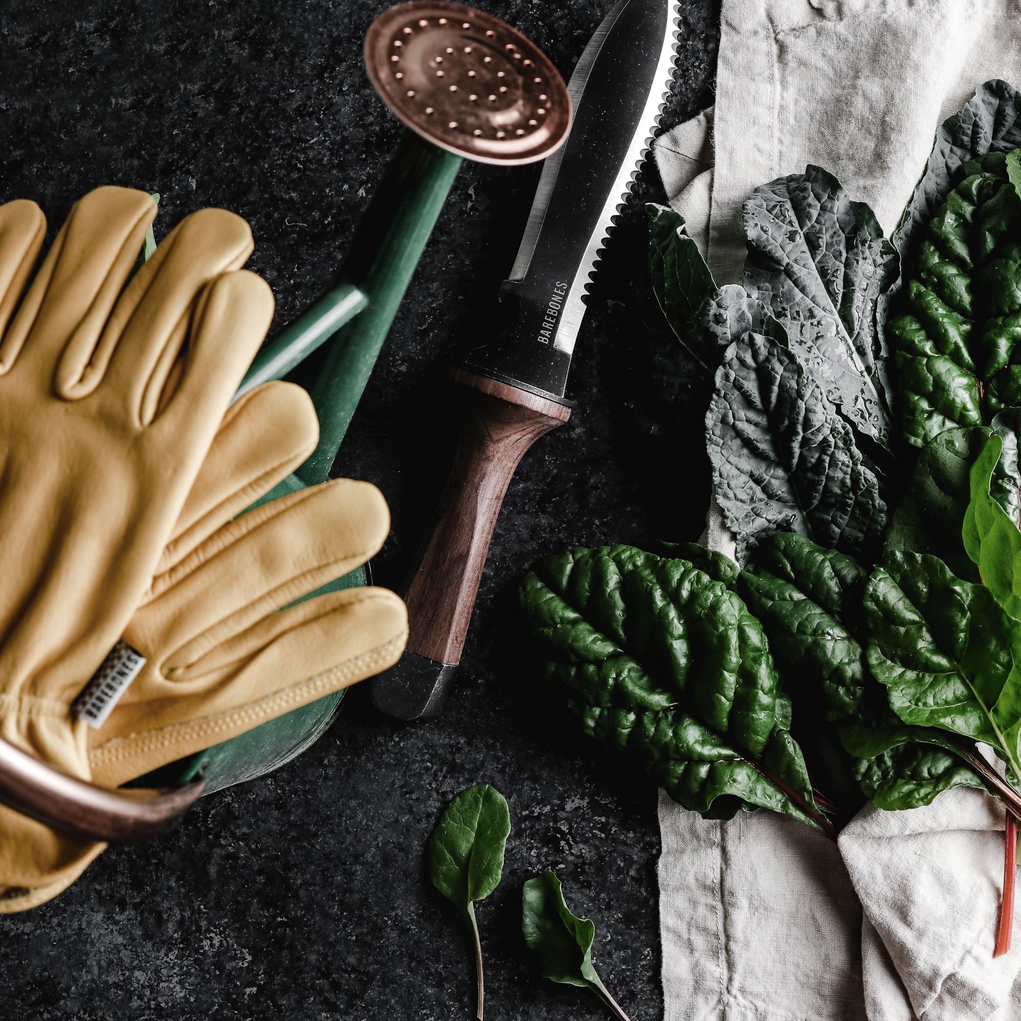 Cuchillo de Supervivencia al Aire Libre TrailForge Pro Grip con Mango Ergonómico y Hoja Duradera