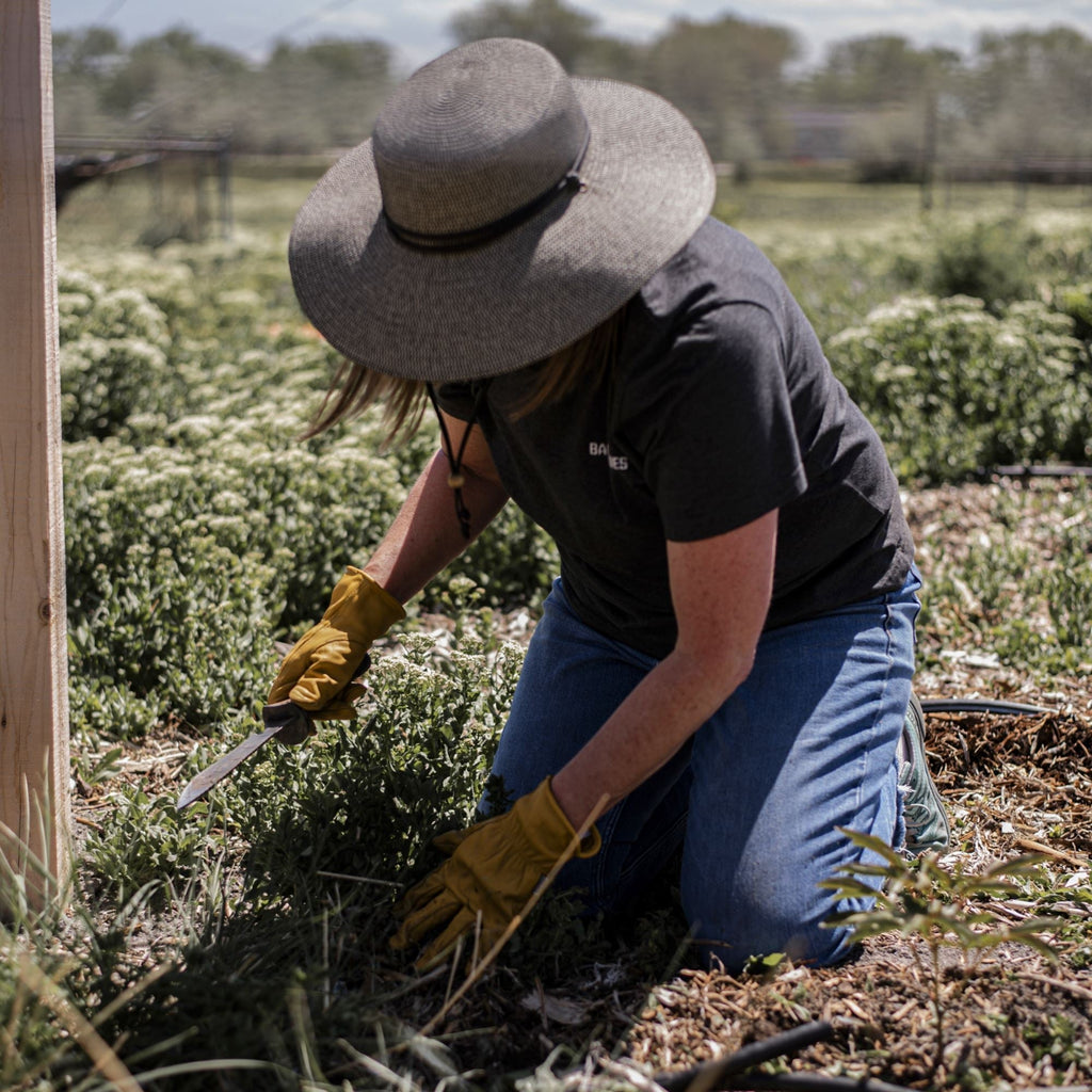Cuchillo de Supervivencia al Aire Libre TrailForge Pro Grip con Mango Ergonómico y Hoja Duradera