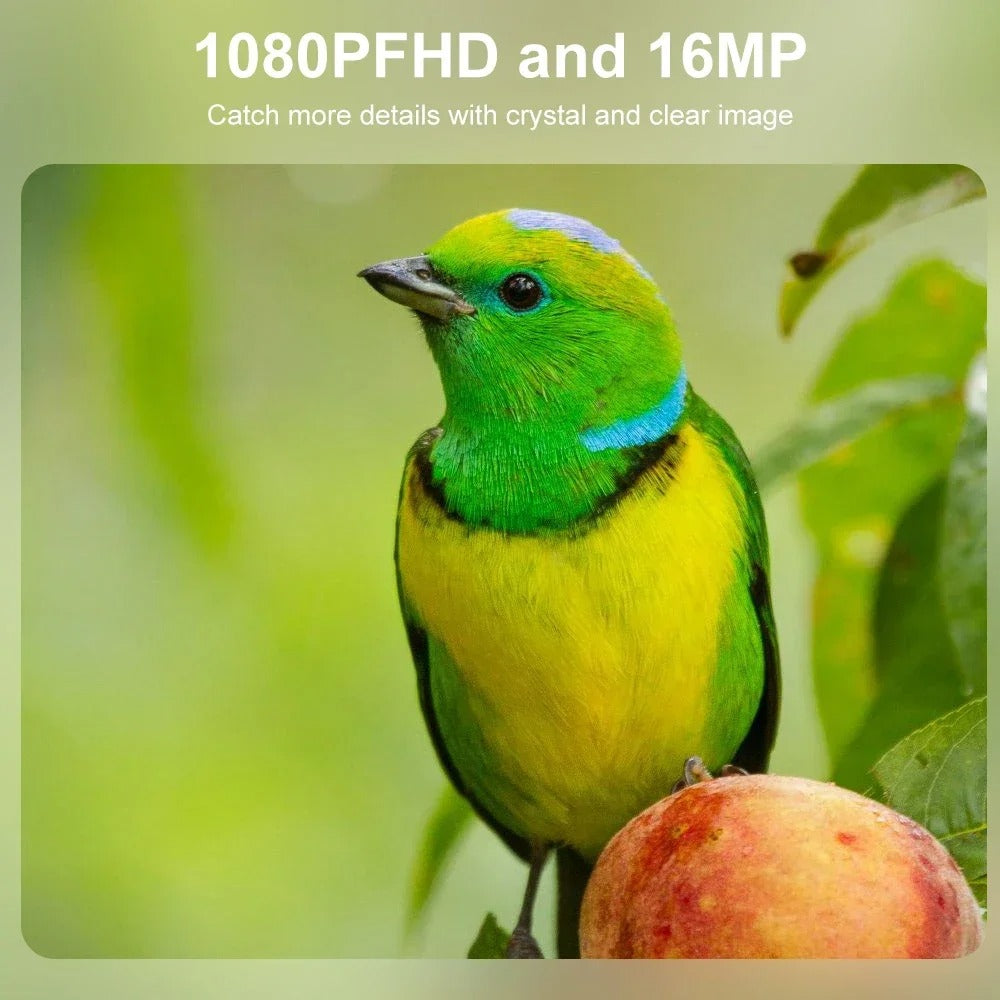 赤外線ナイトビジョン ミニ HD トレイルカメラ 防水