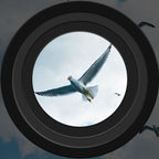 Teropong Penglihatan Malam LumenNova untuk Pemerhatian Jarak Jauh