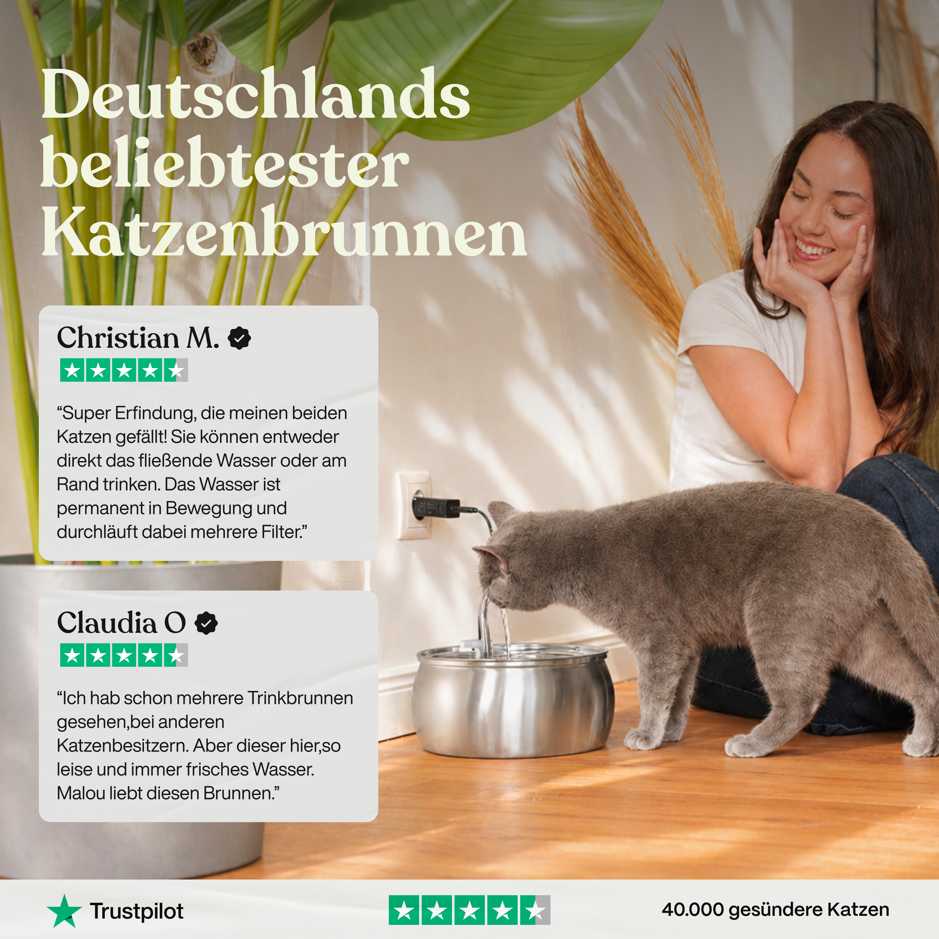 Fontaine à eau pour chat en acier inoxydable avec pompe silencieuse et filtre multi-étapes pour une hydratation quotidienne