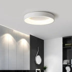 Nordic Round LED Ceiling Light With Remote Control For Energy Efficient Modern Homes