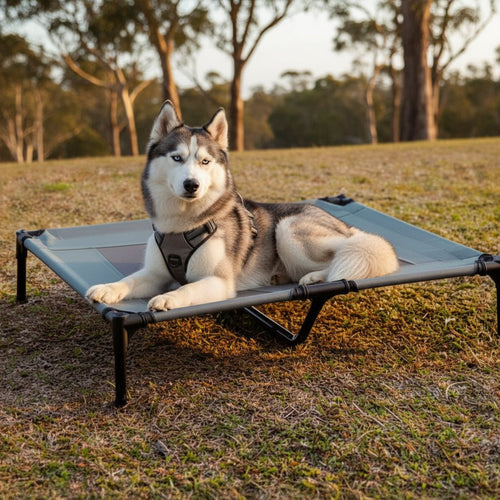 Erhöhtes Hundebett mit Kühlmatte und UV-Schutz für Komfort im Freien