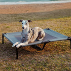 Elevated Dog Bed with Cooling Mat and UV Protection for Outdoor Comfort
