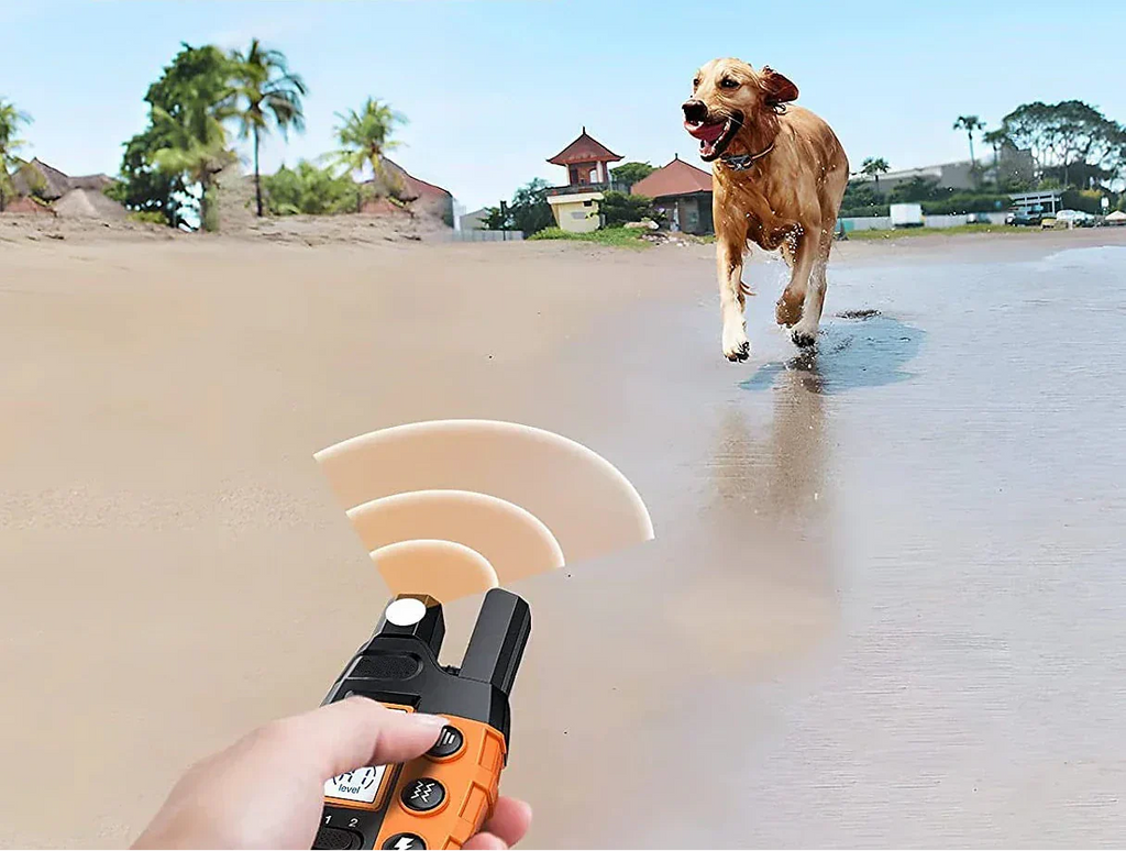 NovaPace 1000m リモート犬用トレーニングカラー、防水