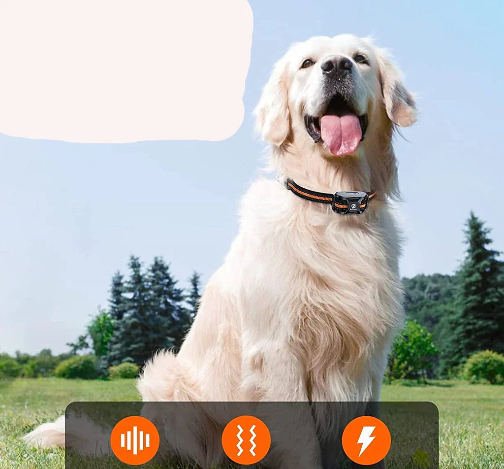 NovaPace 1000m リモート犬用トレーニングカラー、防水