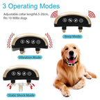 Rechargeable Bark Collar With Adjustable Sensitivity For All Dogs