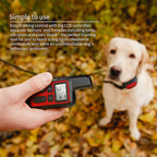 TerraGuard Pro Collare Impermeabile per Addestramento Cani Portata 500m