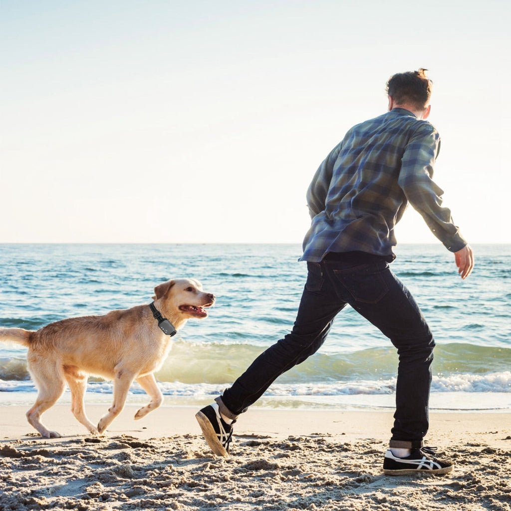 AstraGuard GPS Pro Trådløst Hundegærde 30–1000m Grænse