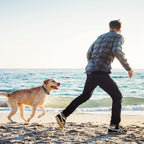 AstraGuard GPS Pro Trådløst Hundegærde 30–1000m Grænse