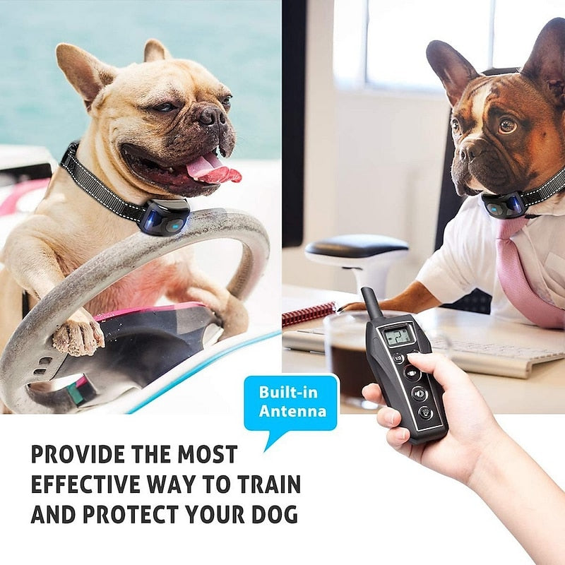 PawStride sokkmentes kiképző nyakörv hosszú hatótávolságú távirányítóval