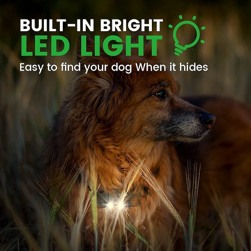 LyraPaw Pro hundetræningskrave med LED-fyr og 762 meters rækkevidde