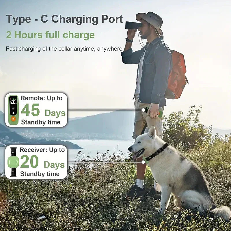 PulsePup Pro リモート犬用トレーニングカラー（ビープ音、振動、ショック、ライト付き）