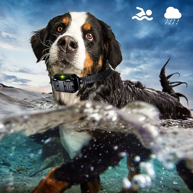 KairoPaw távirányítós kiképző nyakörv kutyáknak 300m hatótávolsággal