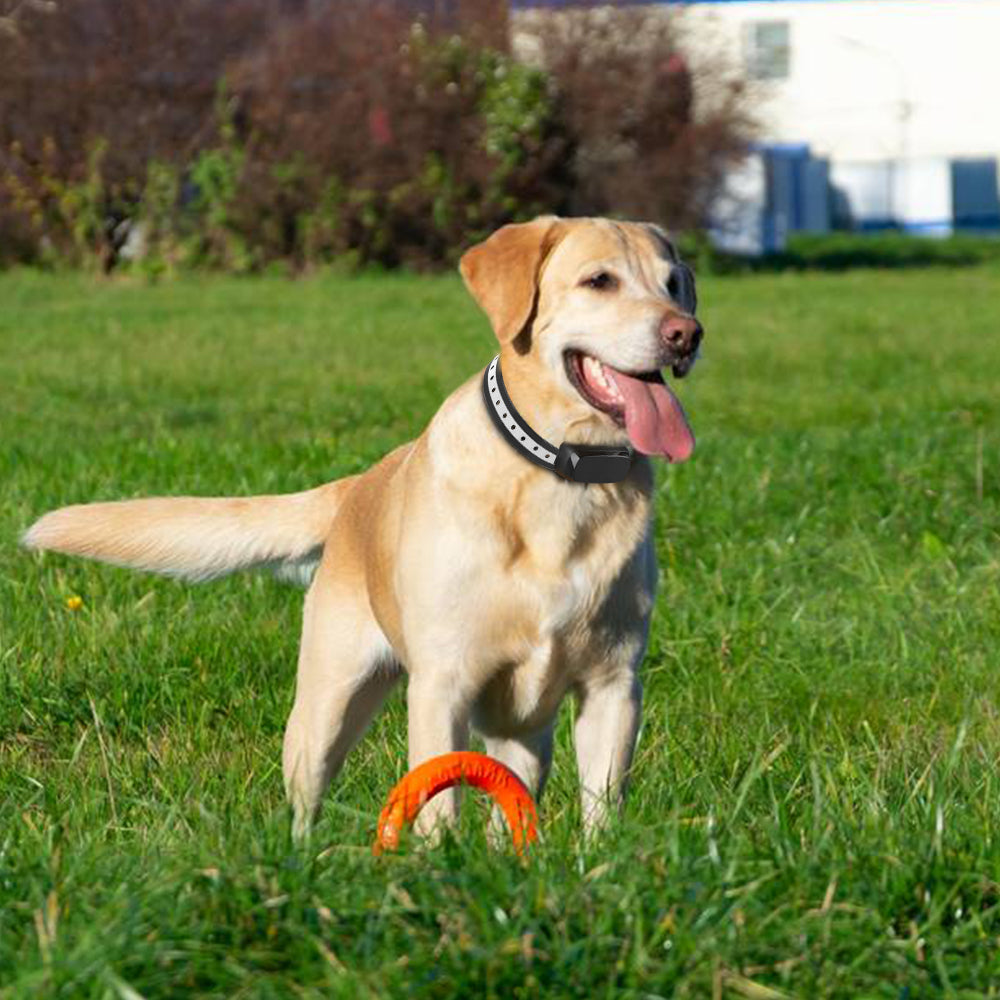 Sistema di Recinzione Wireless AeroPaw Pro per Cani per Giardini Sicuri