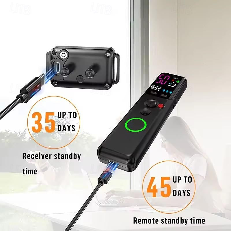 AstraPaw Pro wasserdichte Ferntrainingshalsband verstellbar