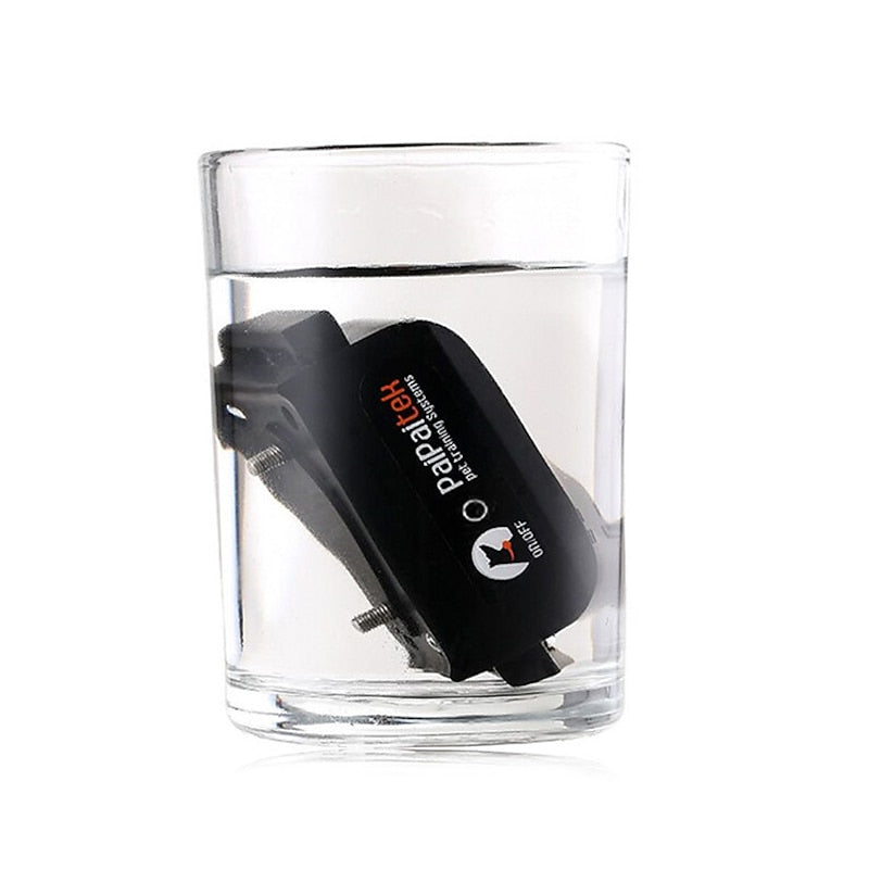 ZenRidge 1000m Waterproof Dog Training Collar Rechargeable