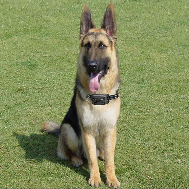 FidoFence Pro trådløst hundegårdssystem med halsbånd, 9–240m