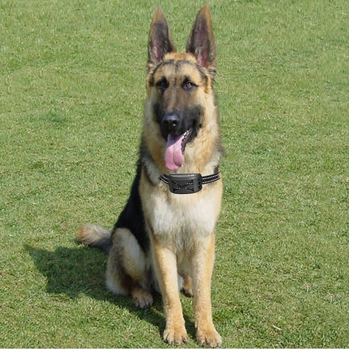 FidoFence Pro Avanceret Trådløst Hundegårdssystem med Halsbånd, 9–240 Meter