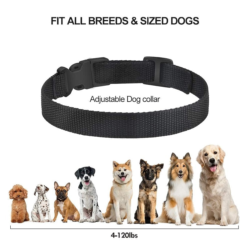 PetJoy uppladdningsbart halsband för att avskräcka skällande hundar