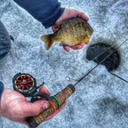 بكرة صيد الثلج Petprovac ICX Carbon، ترقية الهيكل، نظام إسقاط مغناطيسي، بكرة صيد الثلج الخطية