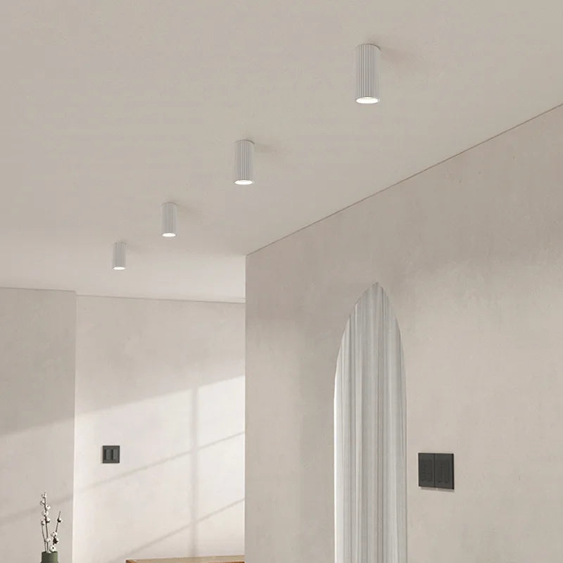 Lyra Lampesamling | Petprovac