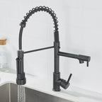 LumaFlow Dual Spout Kitchen Faucet In Black And Gold