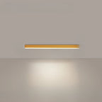 Stropní LED svítidlo Lumina pro restaurace a balkony