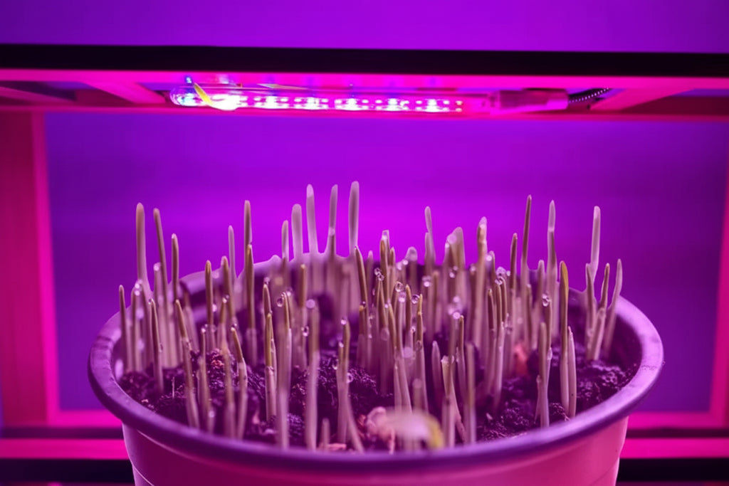 USB LED Powered Grow Light For Indoor Plants And Hydroponics