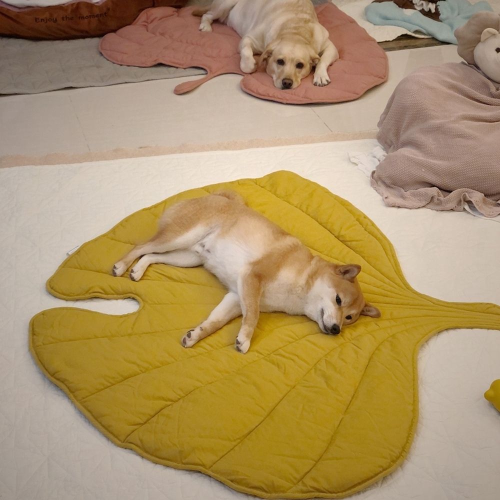 Cool Breathable Dog Mat Leaf Shaped Washable For Pets